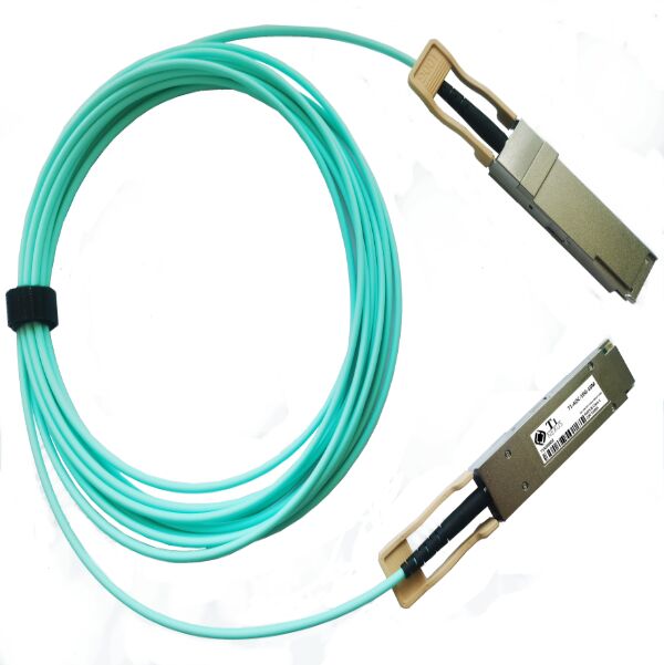 T1-AOC-10G - Image 1